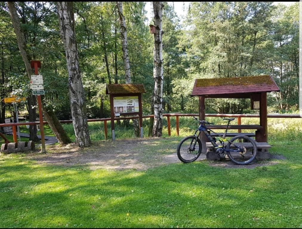 Landgasthof Gruener Baum Regnitzlosau Ngoại thất bức ảnh