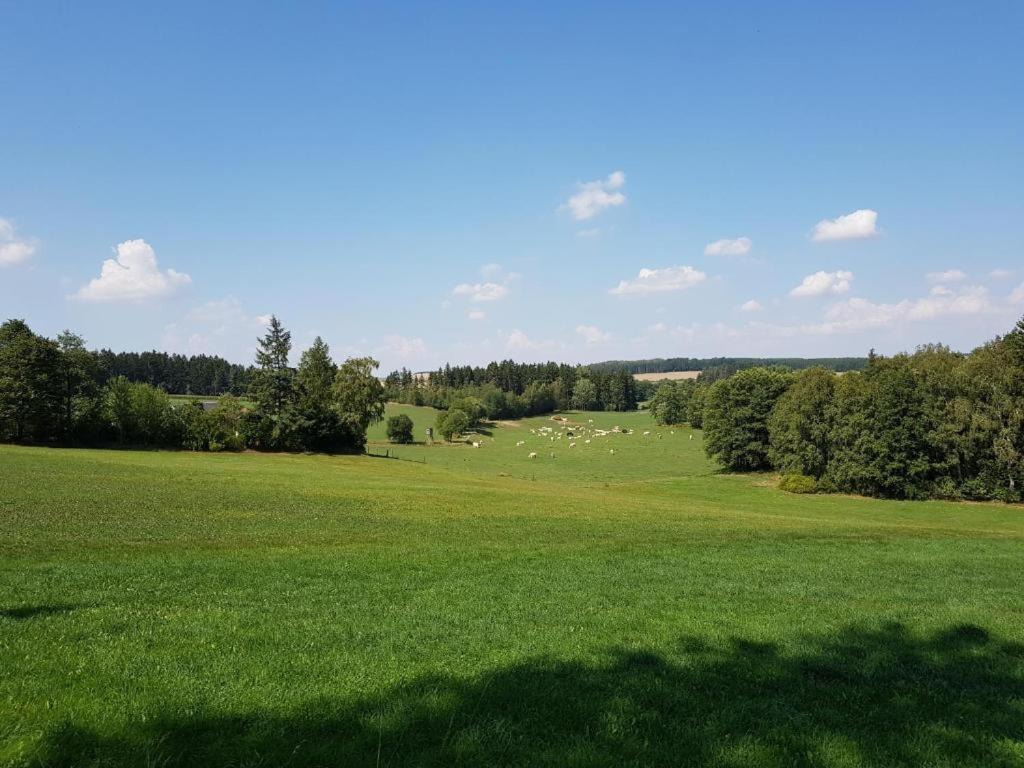 Landgasthof Gruener Baum Regnitzlosau Ngoại thất bức ảnh